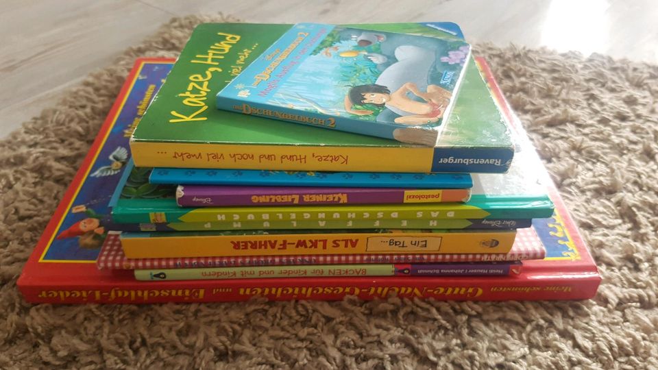 10 Bücher Kinder Backen Disney Gute Nacht LKW Gartenbuch Tiere... in Sangerhausen