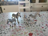 Zebras Schleich, Bullyland und Terra by Battat Thüringen - Schleiz Vorschau