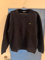 Lacoste Pullover Navy Blau Gr.L Niedersachsen - Edewecht Vorschau