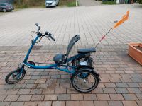 Pfautec E-Trike elektrisches Dreirad Baden-Württemberg - Markgröningen Vorschau