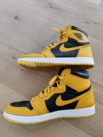 Jordan 1 Retro High Pollen Größe 44,5 Baden-Württemberg - Aichtal Vorschau