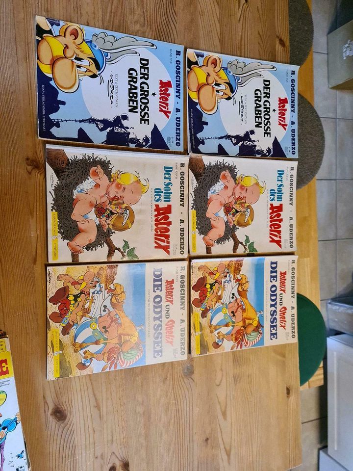 Asterix und Obelix in Ettlingen