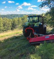 Forstmulchen ,Gartenpflege ,Baumfällung ,Mähen Rheinland-Pfalz - Kusel Vorschau