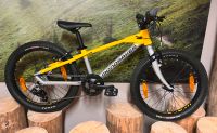 Mondraker Leader 20 Bayern - Marktrodach Vorschau