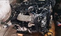 MERCEDES W204 2,2 CDI 651911 651.911 MOTOR KOMPLETT Brandenburg - Hennigsdorf Vorschau