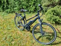 Velorado eBike Größe 52 Bosch Performance Line Bayern - Krailling Vorschau