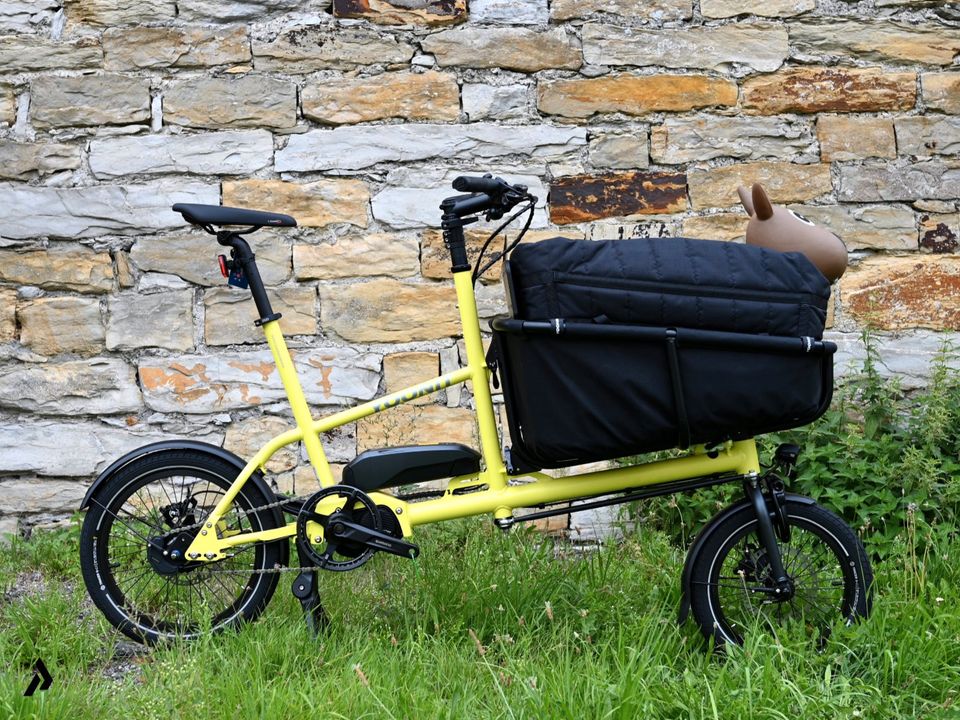 2024 YOONIT Mini E-Cargobike | ideal für Hunde | Shimano EP6 Motor | Lastenfahrrad kompakt | Pakumo Fachhandel für Transportfahrräder in Paderborn