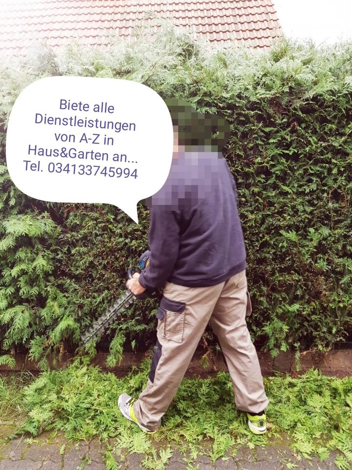 Gärtner,Gartenarbeiten,Hecke,Baumschnitt,Laub,Schuppenabriss,Zaun in