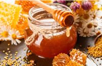 Honig aus eigener Produktion zu verkaufen Dortmund - Menglinghausen Vorschau