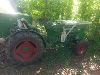 Deutz D4005P Plantageschlepper Plantagen Traktor BJ.1968 Rheinland-Pfalz - Walsheim Vorschau