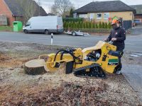 Stubbenfräsen / Baumstumpf fräsen / Baumwurzeln entfernen Niedersachsen - Drage Vorschau