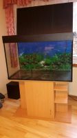 Aquarium - Kombination 300L, 100x50x60 cm Sachsen - Neustadt Vorschau