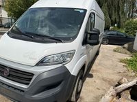 Fiat Ducato Grossr.-Kasten 35 115 L4H2 RS: 4035 mm Nordrhein-Westfalen - Extertal Vorschau