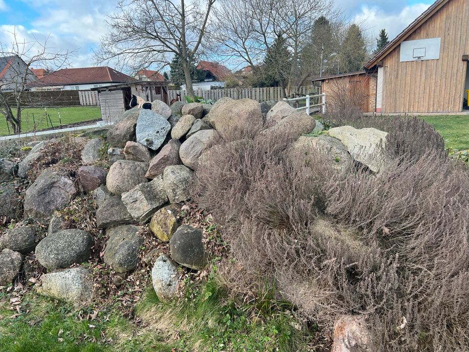 Steinmauer, Steingarten, Steine, Findlinge, altes Fundament in Satow