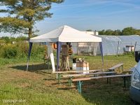 Grünes Klassenzimmer, Schulung zu Bienen, Naturkundeunterricht, Thüringen - Erfurt Vorschau