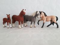 Schleich Pferde (Paket 5) Bayern - Reichertshofen Vorschau