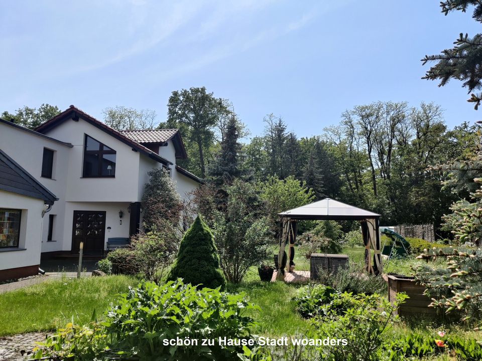 Modernes Einfamilienhaus mit Südterrasse und Sonnengarten im Urlaubsparadies Lausitzer Seenland in Spremberg