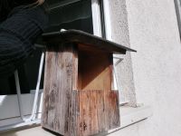 Vogelhaus Nistkasten brutkasten amsel Baden-Württemberg - Freiburg im Breisgau Vorschau