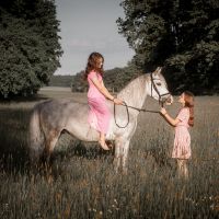 Fotograf / Familien / Paare / Babybauch / Portraits / Tiere Bayern - Auerbach in der Oberpfalz Vorschau