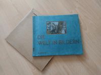 Sammelalbum "Die Welt in Bildern"  Aus Deutschlands Vogelwelt Niedersachsen - Barsinghausen Vorschau