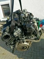 Motor FORD Transit 1.5 TDCi XVGB 14.8 TKM 74 KW 101 PS komplett i Leipzig - Gohlis-Mitte Vorschau