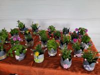 Blechkronen, bepflanzt, Blume, Krone, Muttertag, handmade Bayern - Oerlenbach Vorschau