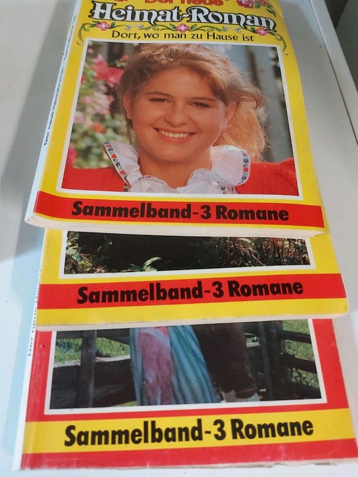 Romane Romanhefte in Steinwiesen