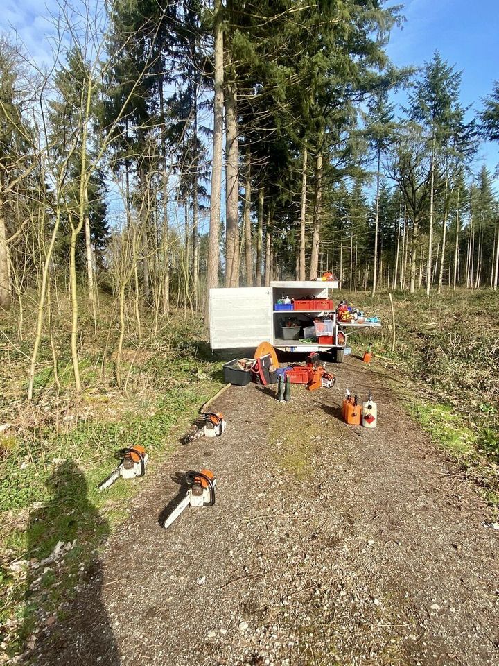 Motorsägenkurs Kettensägenlehrgang Motorsägenlehrgang in Sonsbeck