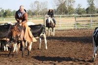 Rindertraining, Rinderkurs, Reitunterricht Berlin - Pankow Vorschau