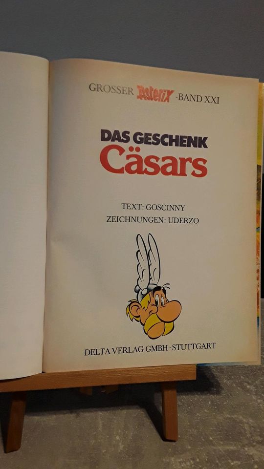 Asterix der Gallier - Ledereinbad / 8 Bücher / verschiedene in Köln