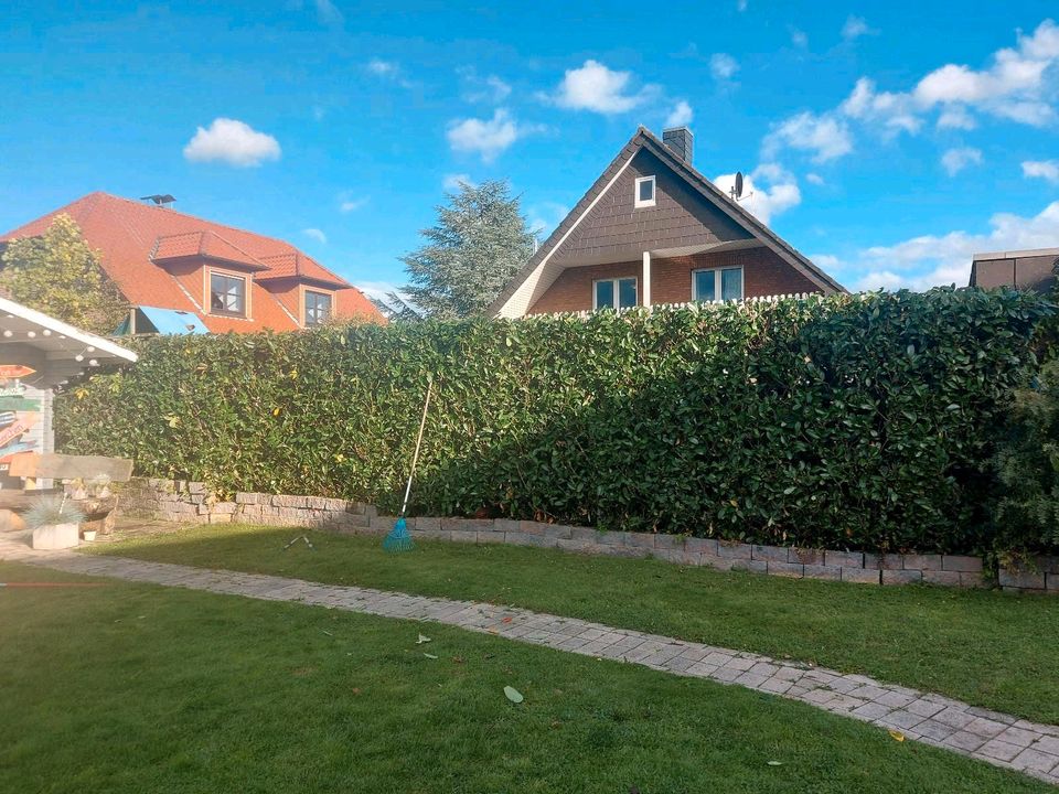 ❗️✅ Hausmeister Arbeiten für Haus und Garten in Steinfurt