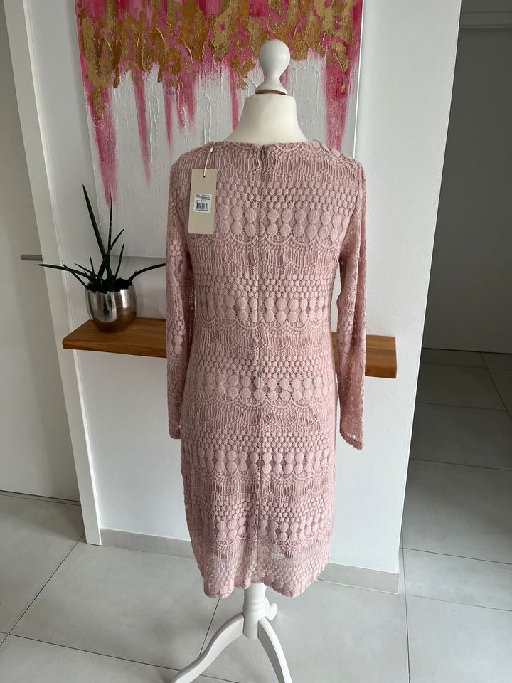 CREAM ❤️ Kleid spitze rosa Melissa Gr M Neu in Gehrden