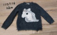 Pullover 110/116 Mädchen h&m einhorn Niedersachsen - Neuschoo Vorschau