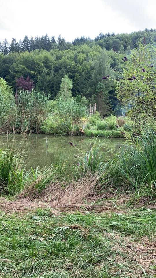 Freizeit Grundstück Etzenbachermühle in RheinlandPfalz Käshofen