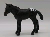 Schleich Holsteiner Repaint Appaloosa Rheinland-Pfalz - Eisenberg  Vorschau