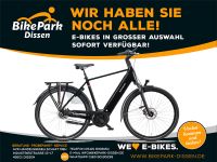 Batavus Elektro-Fahrrad Bosch Performance 750Wh Rücktritt Riemen Niedersachsen - Dissen am Teutoburger Wald Vorschau