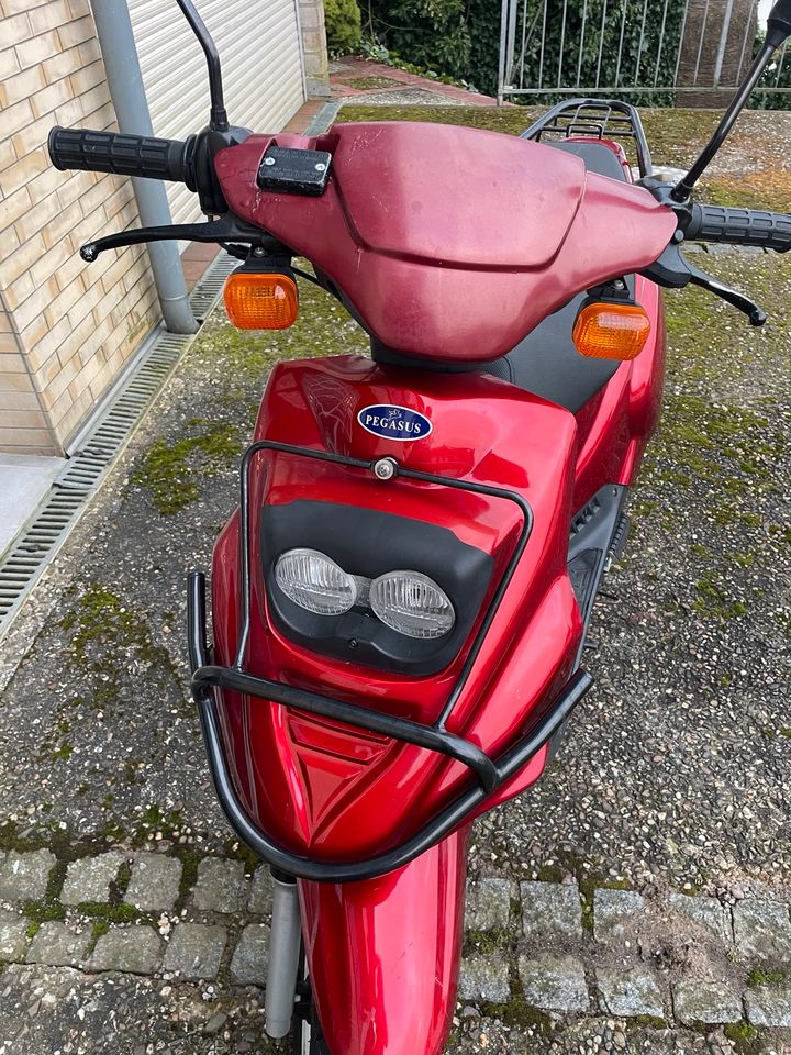 Pegasus Sky 50ccm Roller, Moped, 2-Takt, 45/50 km/h in Eitorf