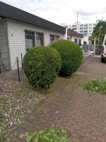 Hallo ich suche Garten arbeit Köln - Ostheim Vorschau