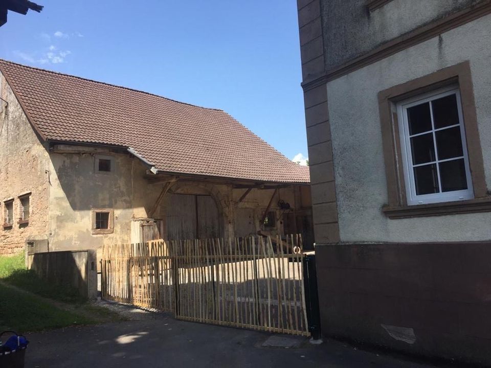 Bauernhaus Bauernhof mit Weide zu vermieten/zu verpachten in Rodenbach