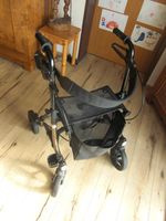 Taima S-GT, Rollator, 3  Monate alt, ca. 5 kg leicht Rheinland-Pfalz - Oberzissen Vorschau