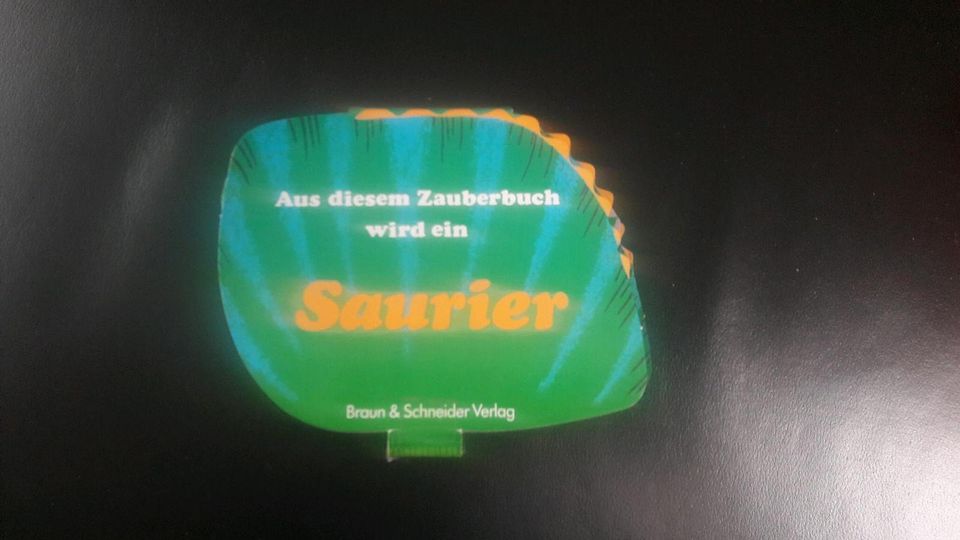 Aus diesem Zauberbuch wird ein Saurier Braun&Schneider Verlag in Heidenheim an der Brenz