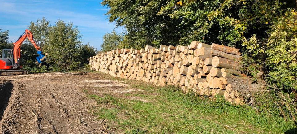 Kaminholz Brennholz Holz Feuerholz in Hamm