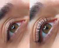 Wimpernlifting inkl färben Nordrhein-Westfalen - Langenfeld Vorschau