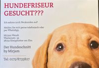 Hundefriseur Niedersachsen - Helmstedt Vorschau