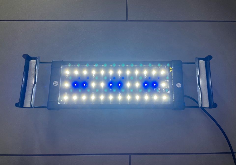 Aquarium LED Beleuchtung /  Weiß , Blau Licht / Aquariumlicht in Tonna