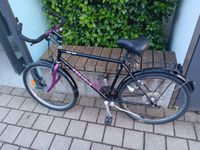 Fahrrad Damenrad PEGASUS Thüringen - Ilmenau Vorschau