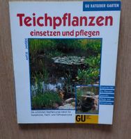 Teichpflanzen einsetzen und pflegen* Bayern - Allersberg Vorschau