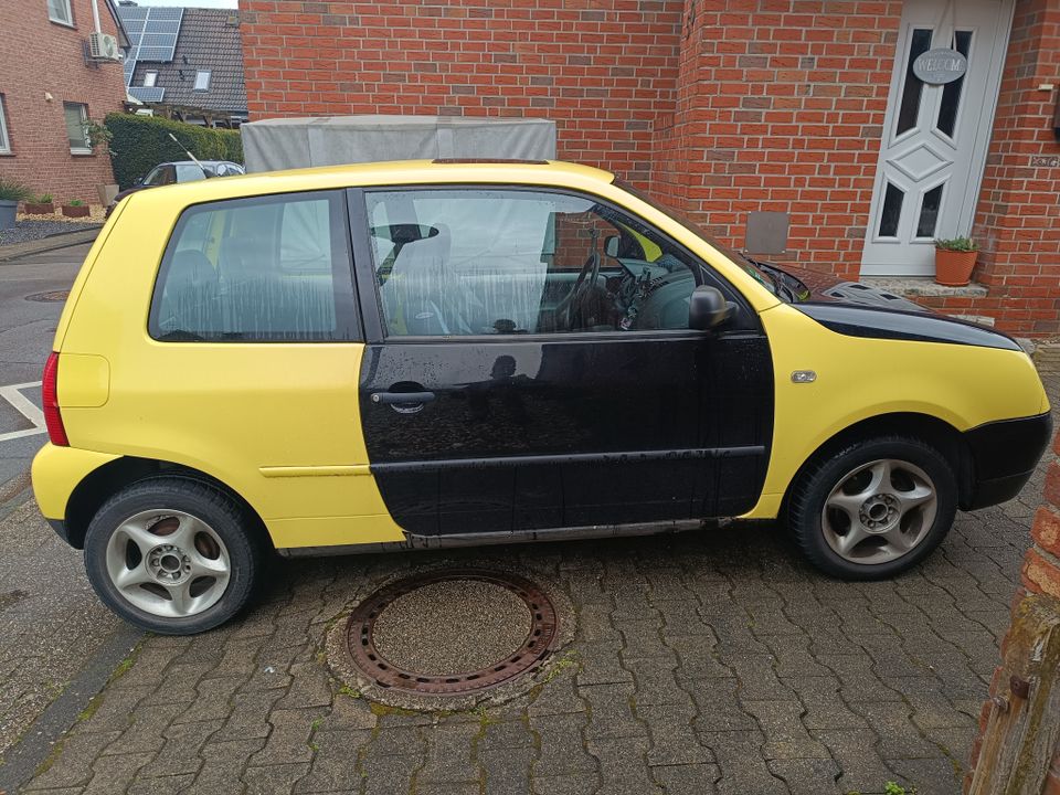 VW Lupo 1,4l  3/2000 in Selm