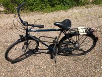 Schauff Fahrrad / Citybike 28“ 7 Gang Nabenschaltung Rheinland-Pfalz - Kuhardt Vorschau