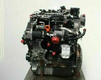 Motor VW Golf Plus V 1.6 TDI CAYC 69 TKM 77 KW 105 PS komplett in Leipzig - Gohlis-Nord Vorschau